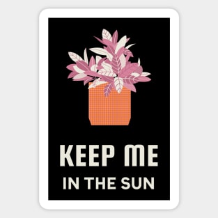 Keep Me In The Sun Sticker